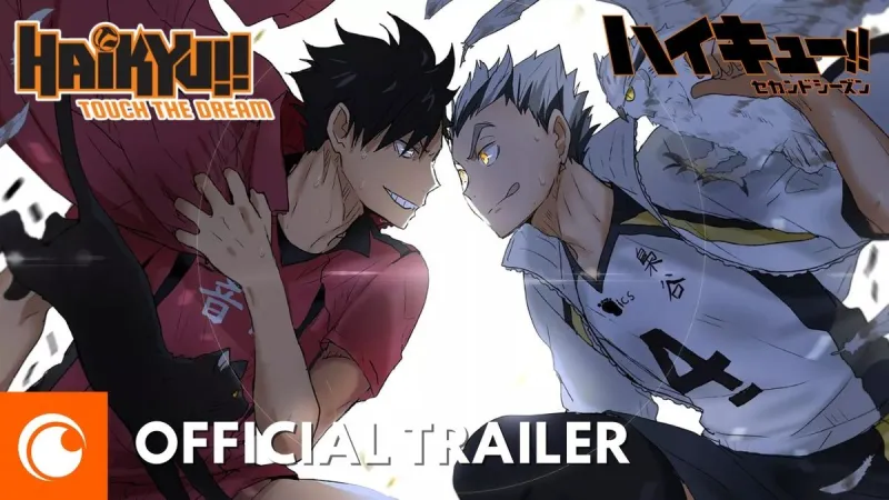 Cover Google Discover de Haikyuu!!