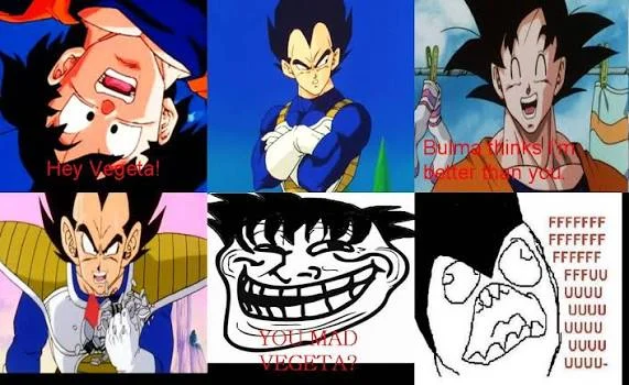 You mad, Vegeta ?